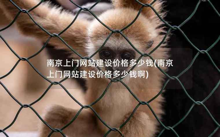 南京上门网站建设价格多少钱南京上门网站建设价格多少钱啊